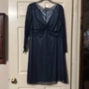 Beautiful Sheer Dress